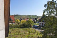 Gîtes des Tuileries à Riquewihr